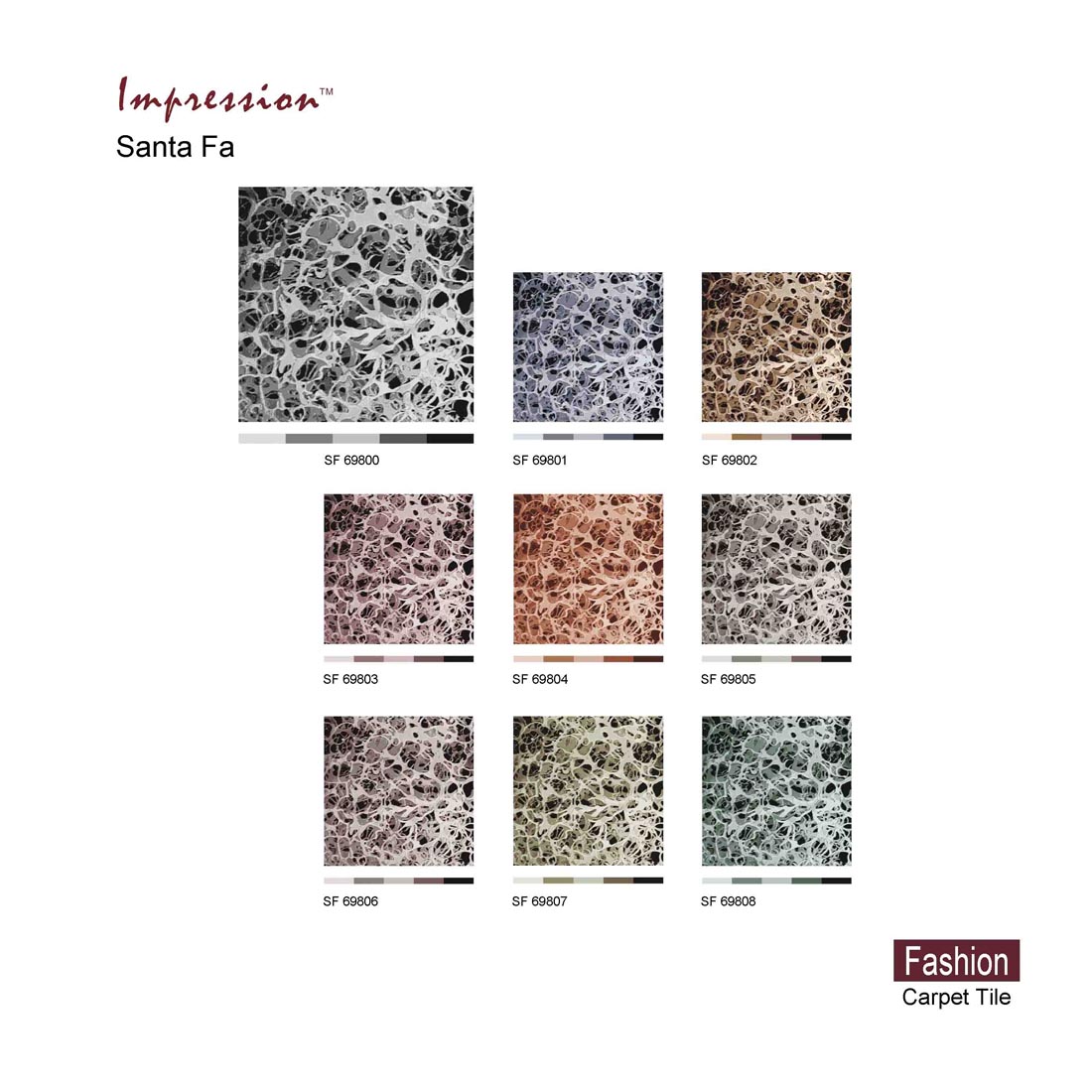 Newspecӡ̺-0160